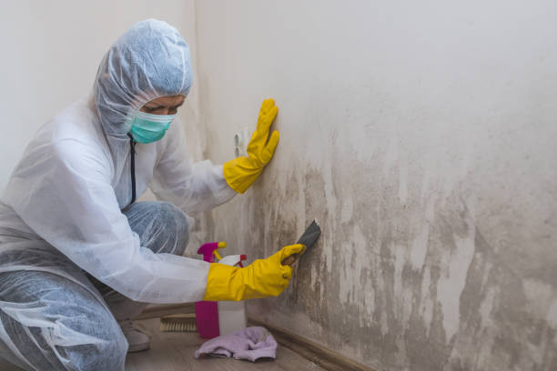 Crawl Space Mold Removal in Inman, SC