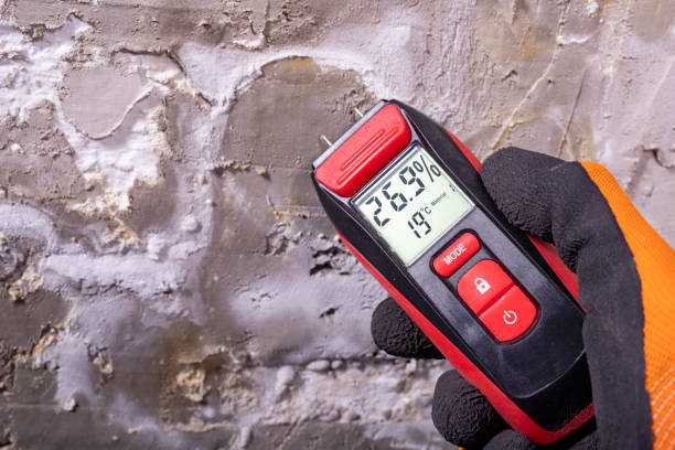 Best Residential Mold Removal  in Inman, SC