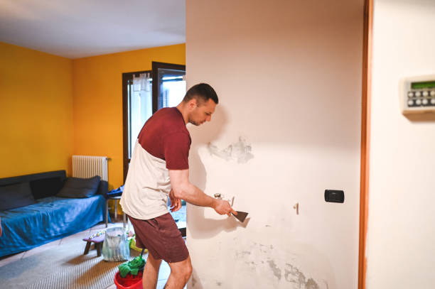 Reliable Inman, SC Mold Removal Solutions